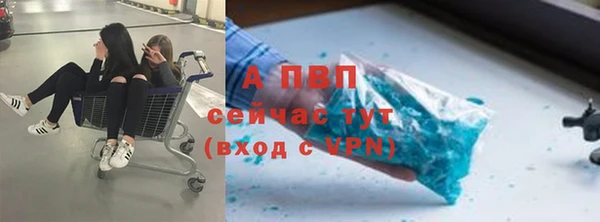 дживик Алексин